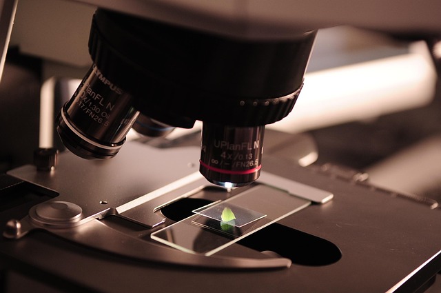 microscope, research, lab, laboratory, science, medicine, scientist, chemistry, experiment, biotechnology, microbiology, analyzing, brown science, brown research, brown medicine, brown lab, brown laboratory, brown chemistry, microscope, microscope, research, research, research, lab, lab, lab, lab, lab, laboratory, science, science, science, scientist, scientist, scientist, chemistry