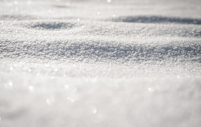 winter, snow, cold, white, frost, frosty, wintry, snowy, nature, hoarfrost, rime, winter season